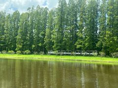 -黄海国家森林公园