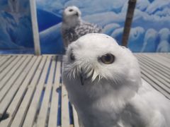 -成都浩海立方海洋公园