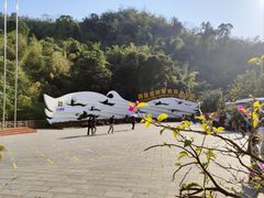 -西双版纳原始森林公园