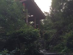 -仙店农庄(湖景农庄餐厅)