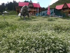 -小渠子旅游区