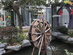 -花溪雨·森林餐厅(石基店)