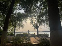 -丁香湖公园