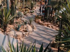 -上海辰山植物园