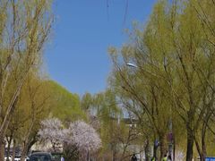 -南长河公园