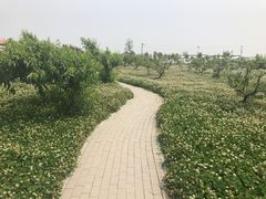 -晶宝温泉农庄