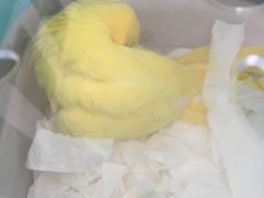 -雨林宠物医院 非犬猫异宠专科
