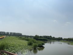 -白洋淀风景区