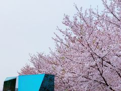 -龙美术馆(西岸馆)