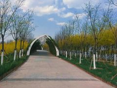 -天津东丽湖风景区