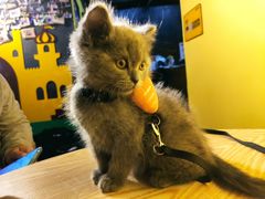 -解个谜沉浸剧情密室(天河店)