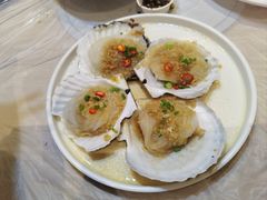-小海丁