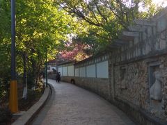 -元谋浪巴铺土林景区
