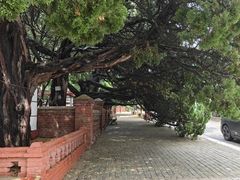 -旅顺留声机博物馆