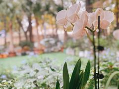 -BOCATA 西班牙餐厅(三里屯店)