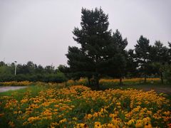 -长春公园(普阳街道)