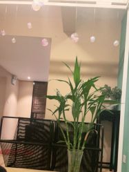 -香秀空间科技抗衰·美容中心