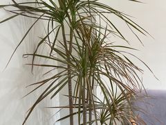 -福驎咖啡FURNING CAFE(固戍华丰店)