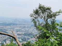 -紫金山山顶公园
