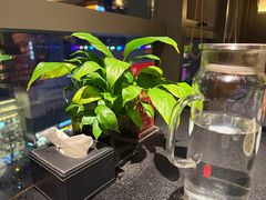 -唐猫庭院·千年陕菜(赛格国际购物中心店)