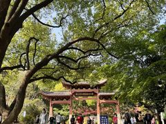 -杭州半山国家森林公园