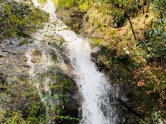 -东天目山风景区