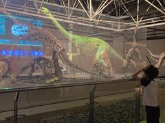 -世界恐龙谷景区