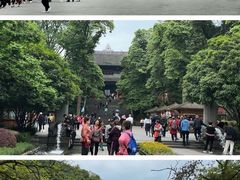 -都江堰景区