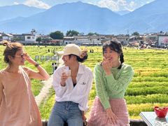 -喜林苑·稻田餐厅(品相府店)