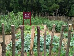 -延安杨家岭革命旧址