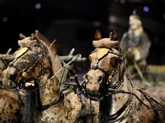 -秦始皇帝陵博物院-丽山园