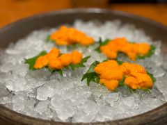 -月龍吟(朝龙汇店)