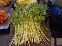 有机黑豆苗-熹悟海鲜火锅·广式打边炉