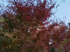 -香山公园-东宫门售票处