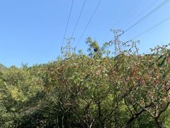-北京十三陵国家森林公园蟒山景区