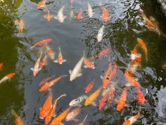 -厦门日月谷温泉渡假村