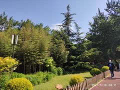 -莲花池公园