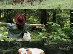 -芦芽山旅游度假区
