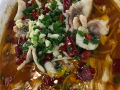 -焯明脆肉鲩世家(金沙洲店)