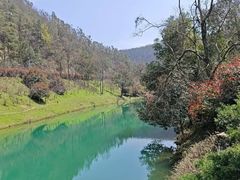 -桃花岭景区