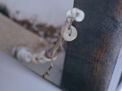 -胶囊画廊