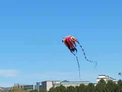 -济南国际园博园