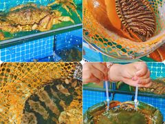 -三亚相缘海鲜·烧烤·糟粕醋(三亚湾店)