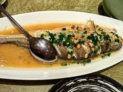 -满乐潮州(深业上城店)