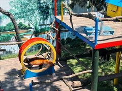 -西霞口神雕山野生动物世界