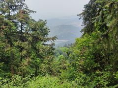 -冶父山国家森林公园