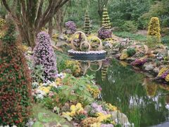 -上海共青森林公园