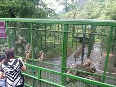 -藏龙百瀑风景区