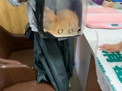 -瑞派宠物医院·24h·骨外科·皮肤科·全科宠物医疗转诊中心(沈阳浑南院)