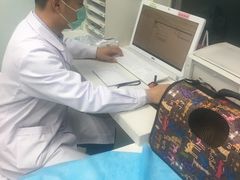 -纳吉亚猫专科动物诊疗中心(蒋宅口分院)